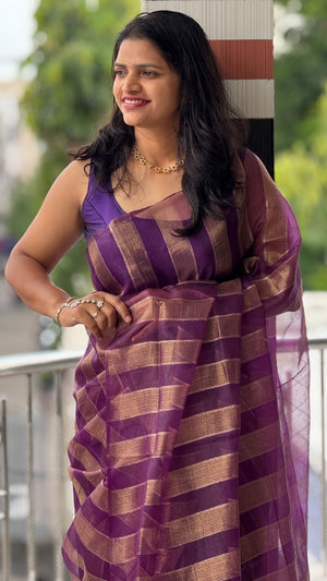 Premium Organza Saree with Elegant Stripe Patta Pattern — HOP179