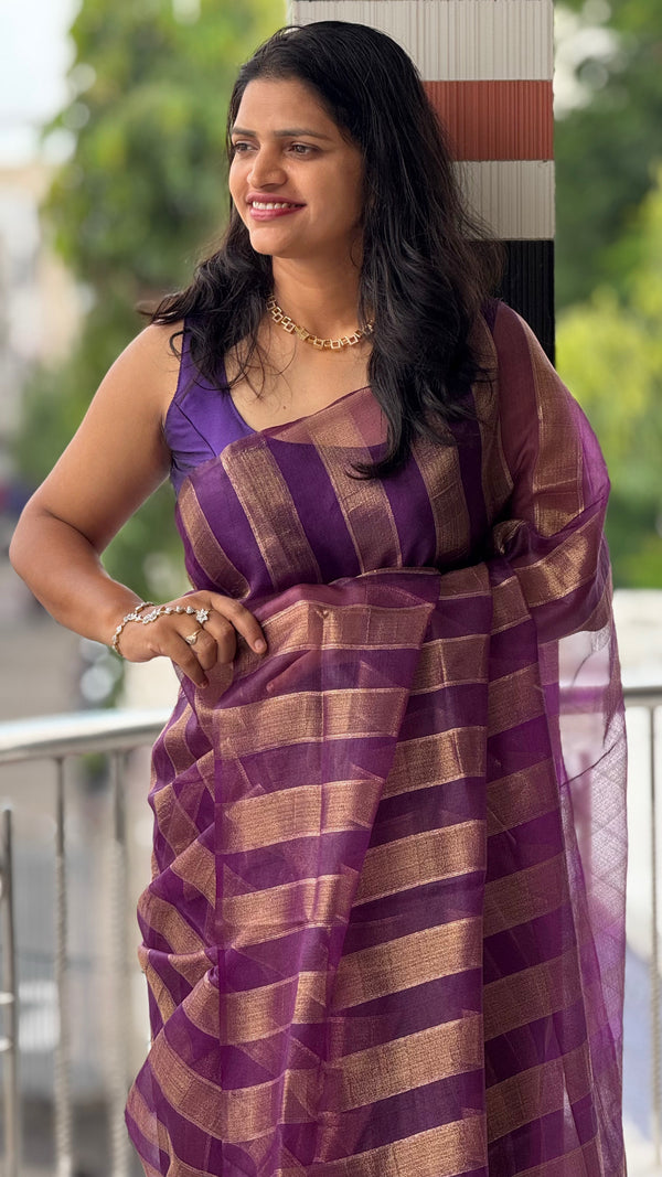 Premium Organza Saree with Elegant Stripe Patta Pattern — HOP179