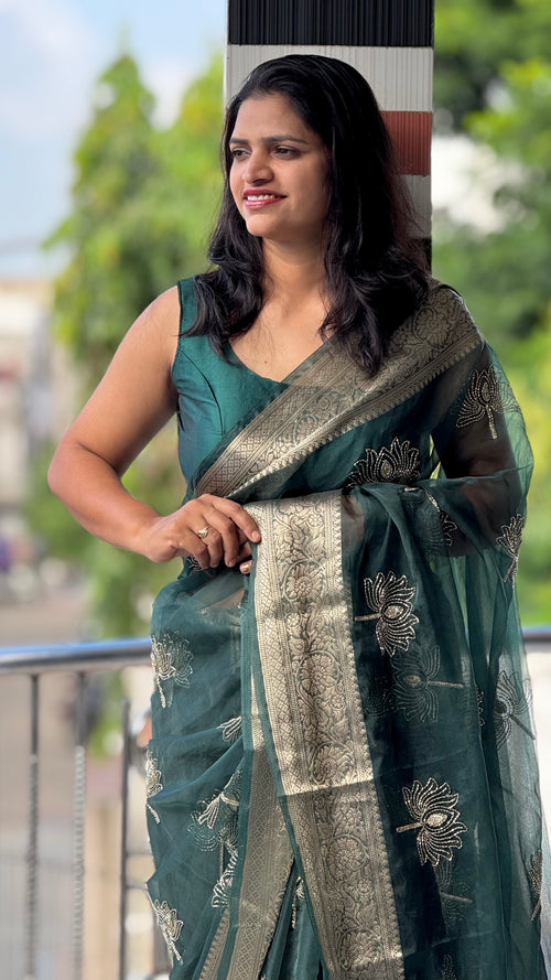 Kanchipuram Organza Tissue Jacquard Border Saree — HOP177