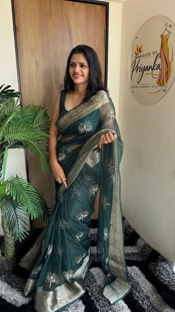 Kanchipuram Organza Tissue Jacquard Border Saree — HOP177