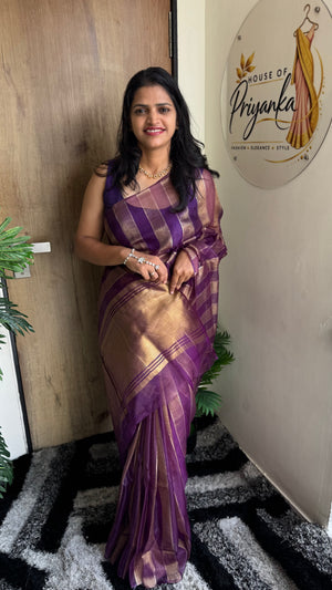 Premium Organza Saree with Elegant Stripe Patta Pattern — HOP179