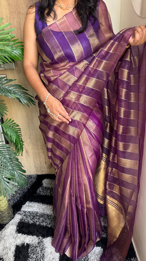 Premium Organza Saree with Elegant Stripe Patta Pattern — HOP179